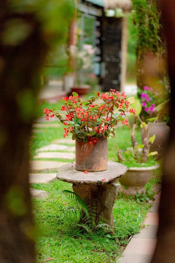 Phong Nha Tuan Garden House Apartment Exterior foto