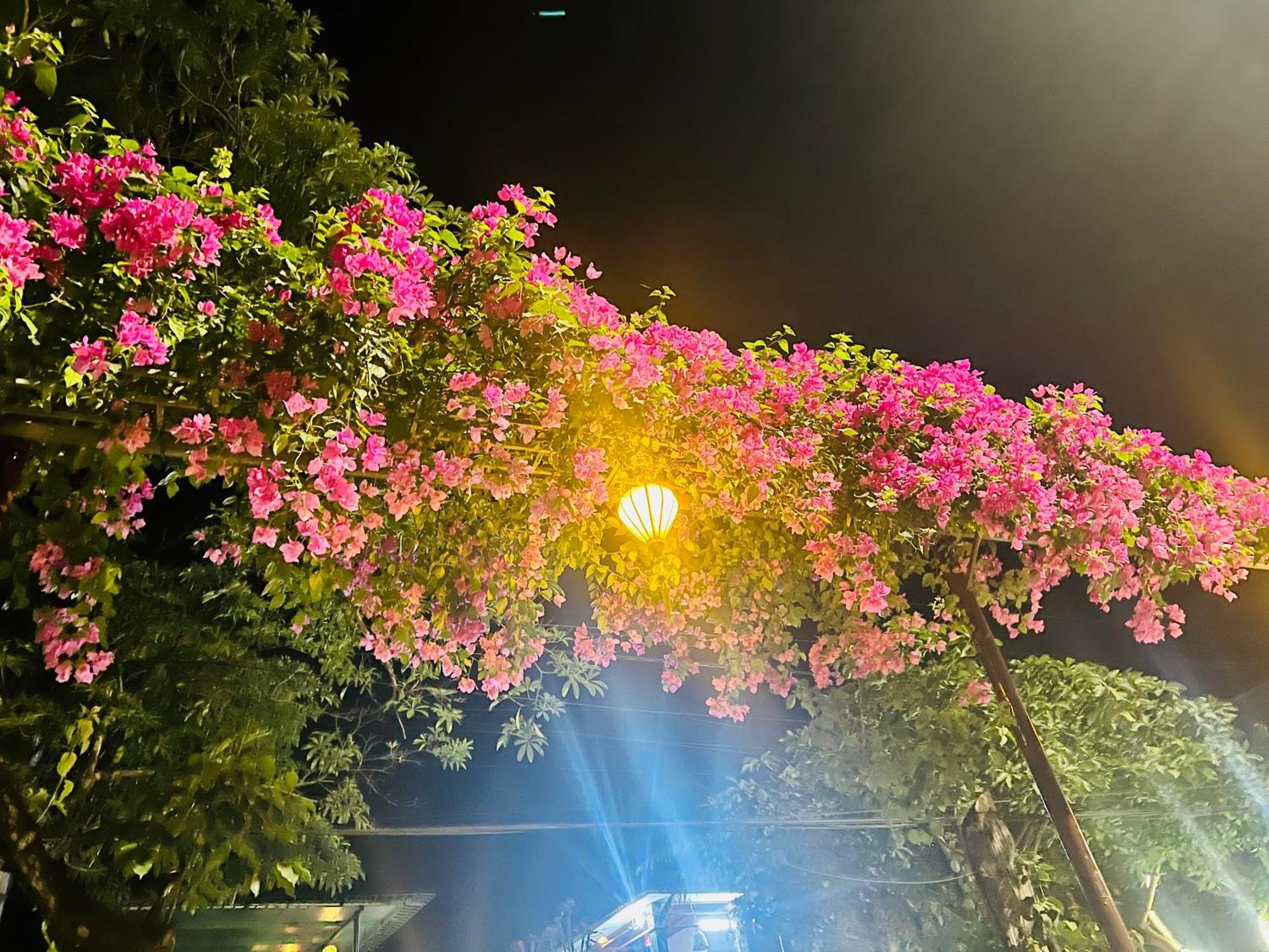 Phong Nha Tuan Garden House Apartment Exterior foto