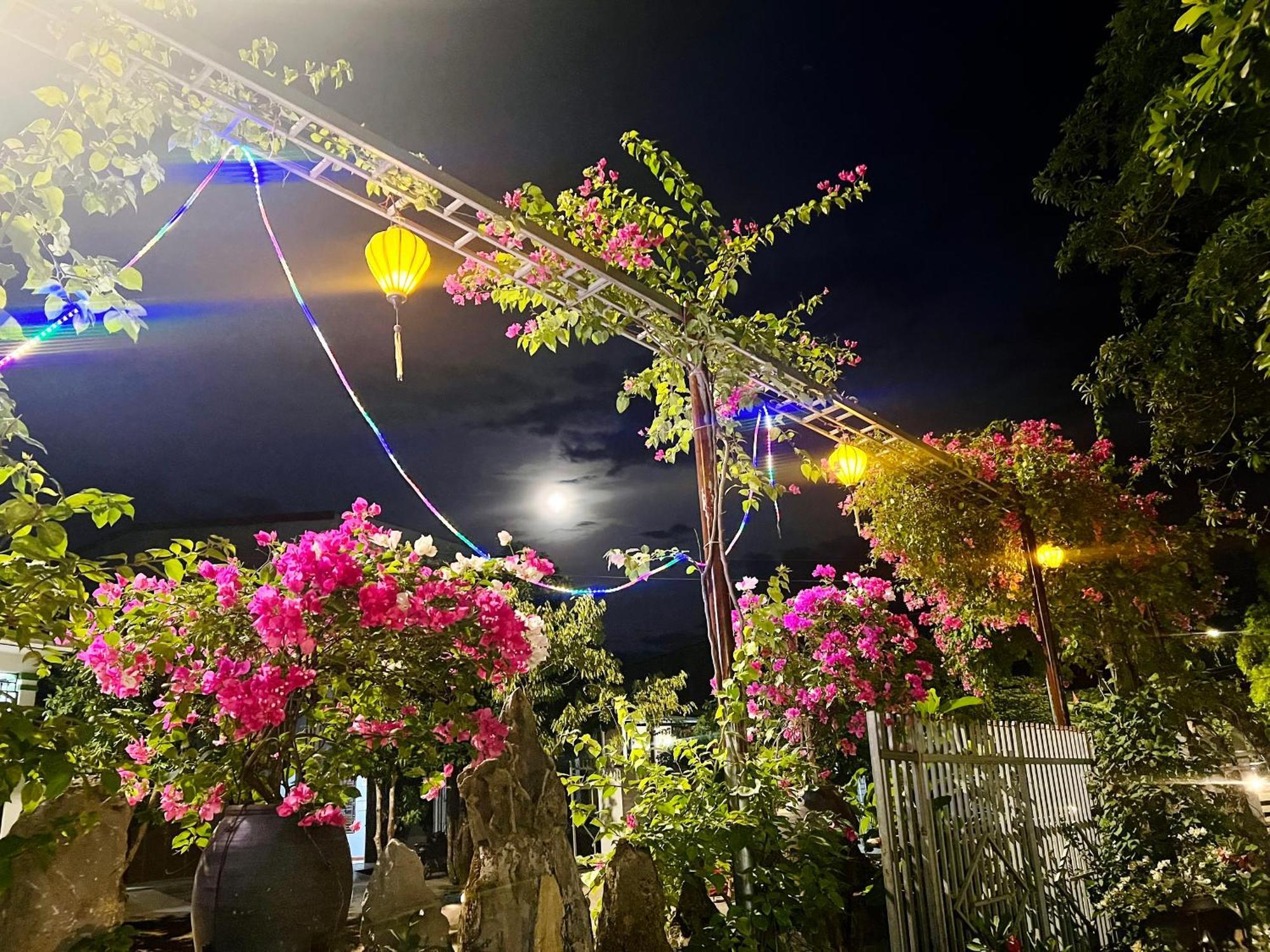 Phong Nha Tuan Garden House Apartment Exterior foto